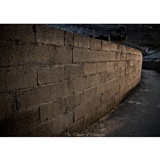 dailyPhoto19